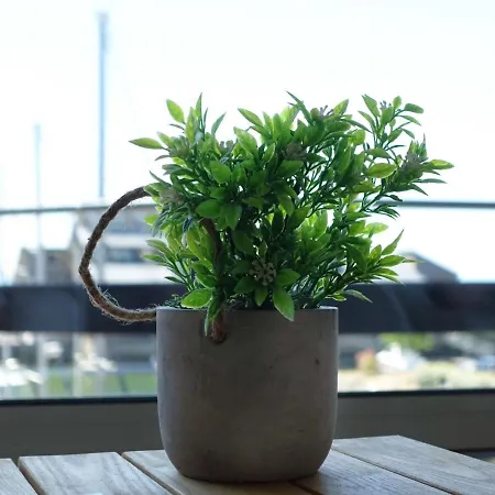 Les Marinas-3 By Interhome *